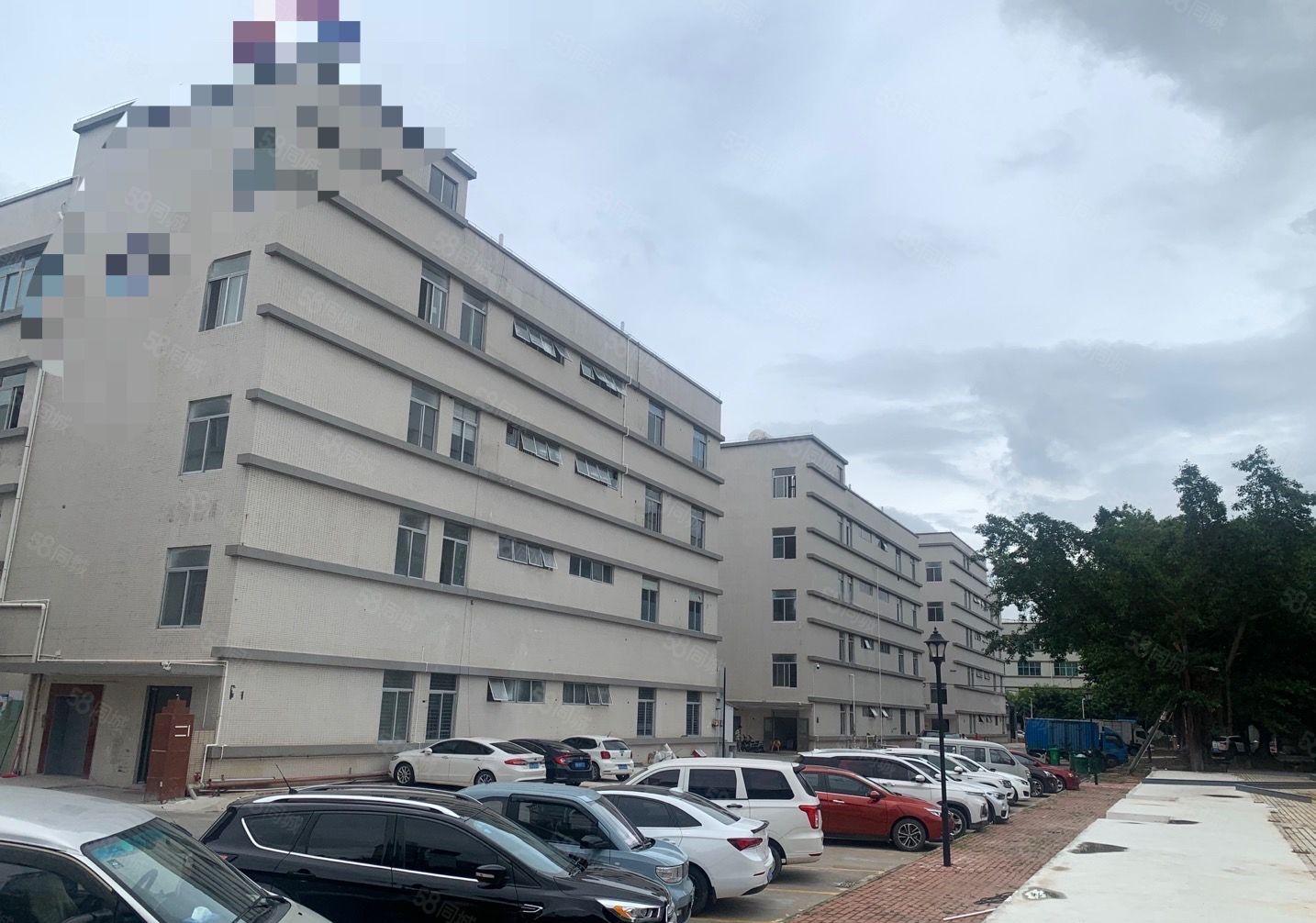 东城标准厂房新空出可整租可分租可般环评