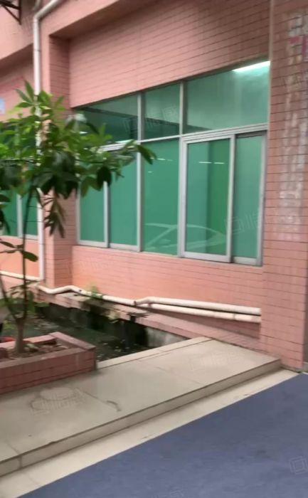 东莞东城厂房出租1楼500平方，全新装修，水电齐全，工业用地