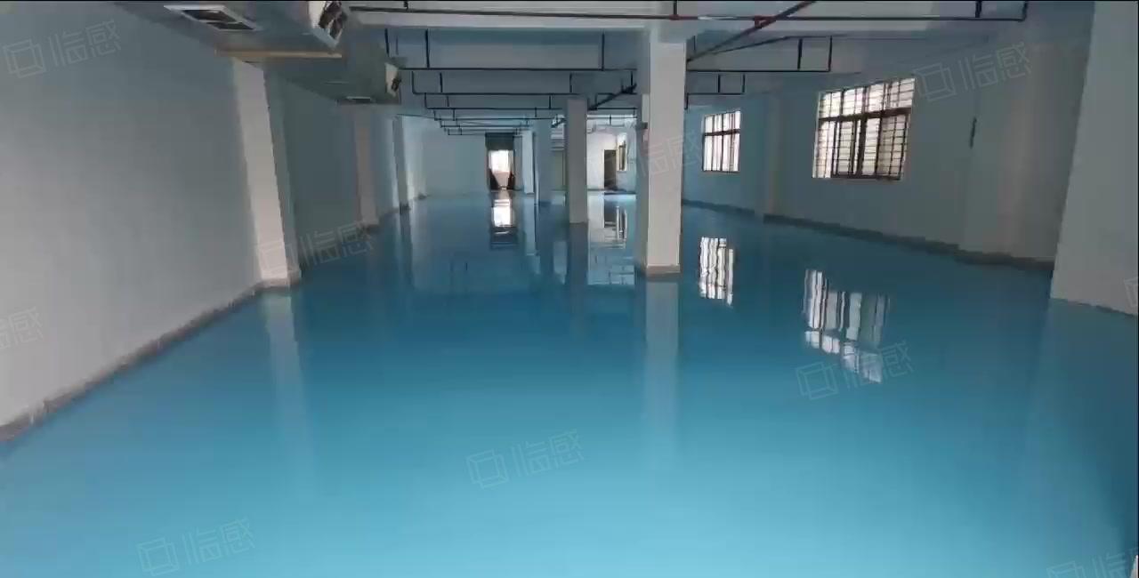 东城温塘自建厂房500方层一楼6米高，全新装修。