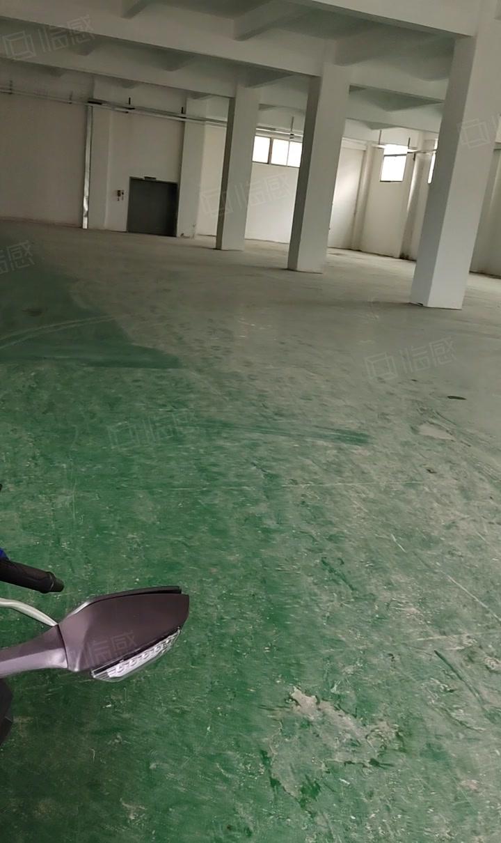 东城温塘工业厂房一楼200  400  500平到980平方