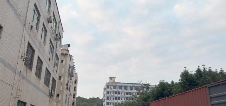 虎门树田树安路原房东独门独院厂房出租
