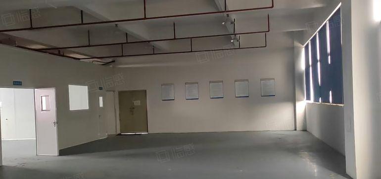 装修无尘车间出租无转让费用适合口罩模切电子玻璃盖板吸塑等