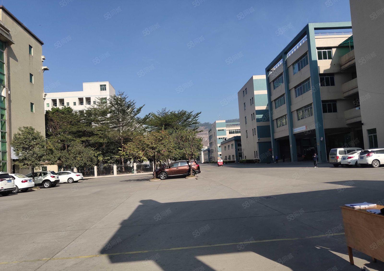 虎门镇赤岗原房东分租工业园16500平方厂房出租可以分租