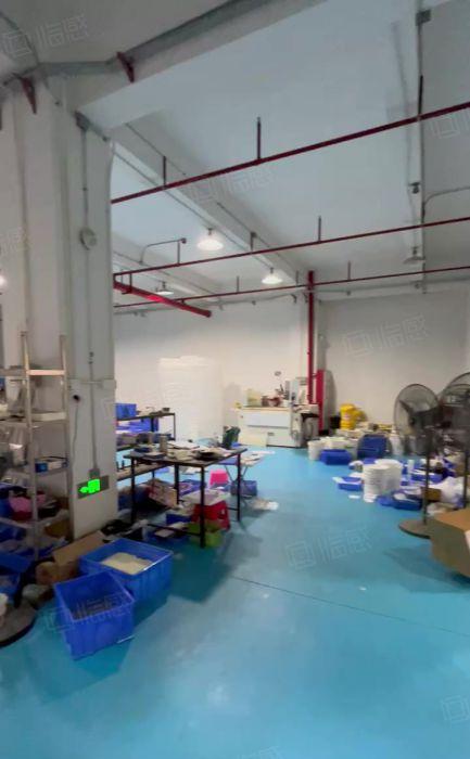 虎门楼上豪华装修厂房出租，重工业机器设备可上楼