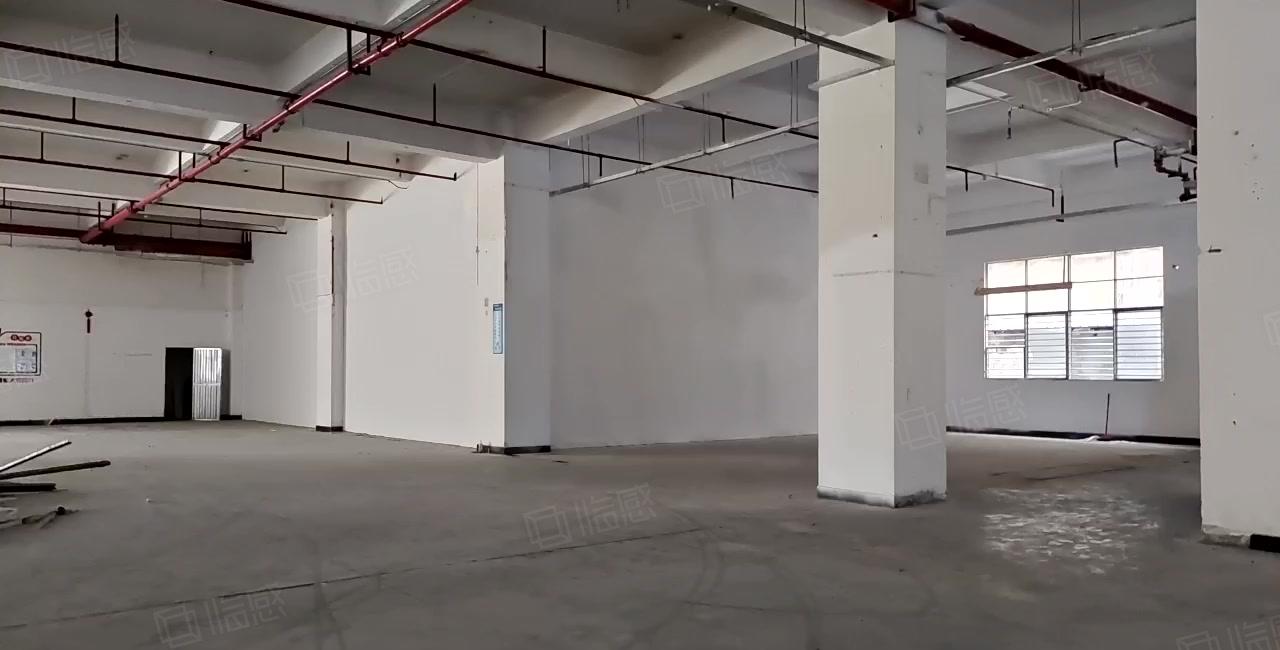 虎门镇龙眼工业园标准厂房一楼1420平方厂房出租，可以分租