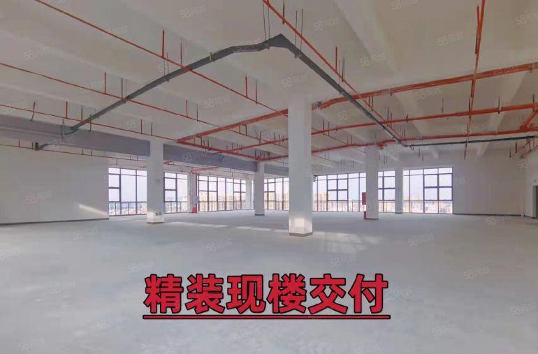 随时可看，即租即用，全新一手花园式红本厂房