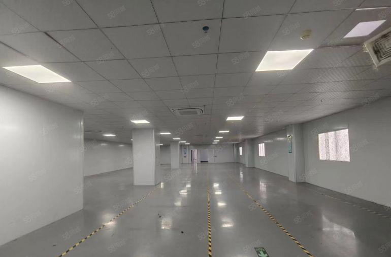 可分租。厦边500平玻璃办公室加洁净车间，低价出租