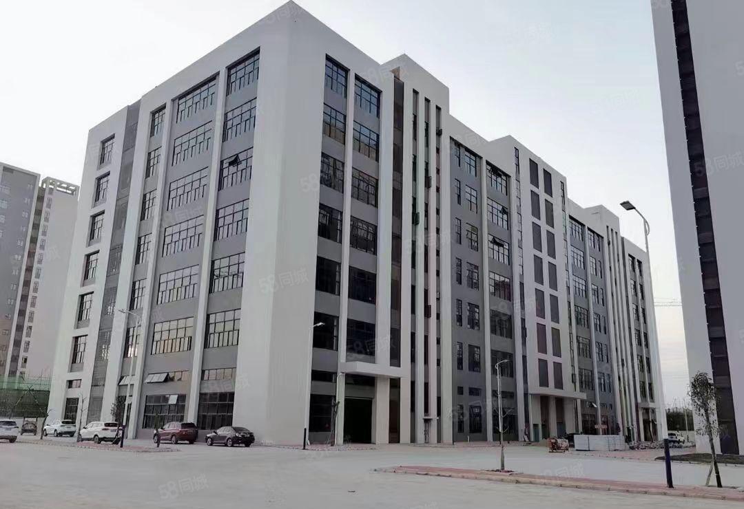 长安乌沙新出原房东独院标准厂房可分租形象好