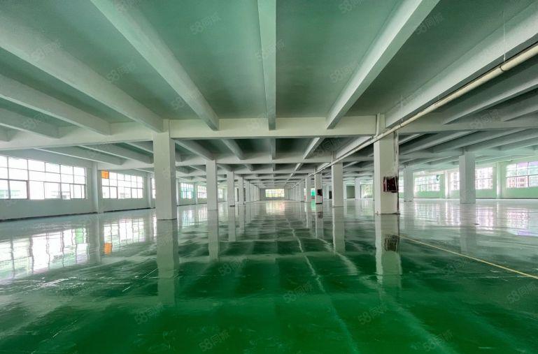 独院可分租 长安乌沙独院8000平厂房出租 低价出租 可分租