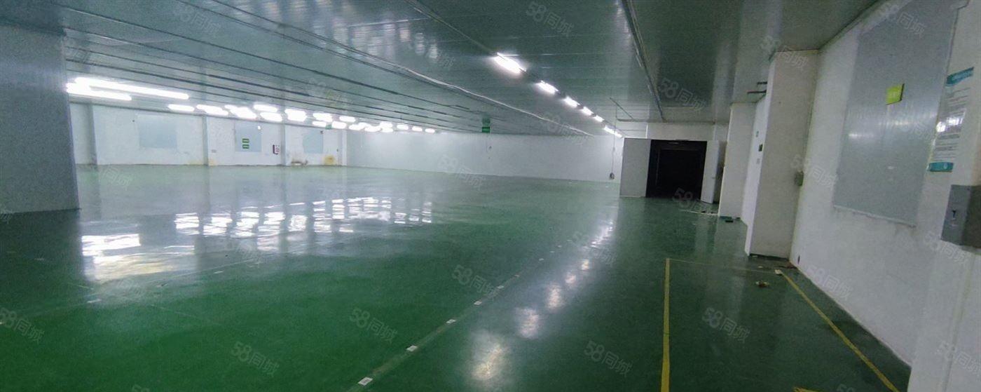 小独院带精装修无尘车间冷库适合食品加工厂医药行业