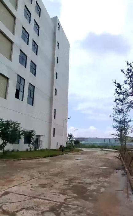 常平镇木伦村厂房10万平方招租，原房东直租，带装修。