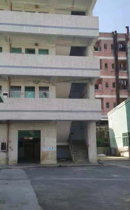 常平镇高速口原房东独院13045平出租 工业用地 水电完好