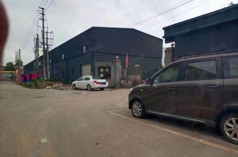 年前超低价厂房分租常平九江水形象好单一层钢构1万平大小可分租