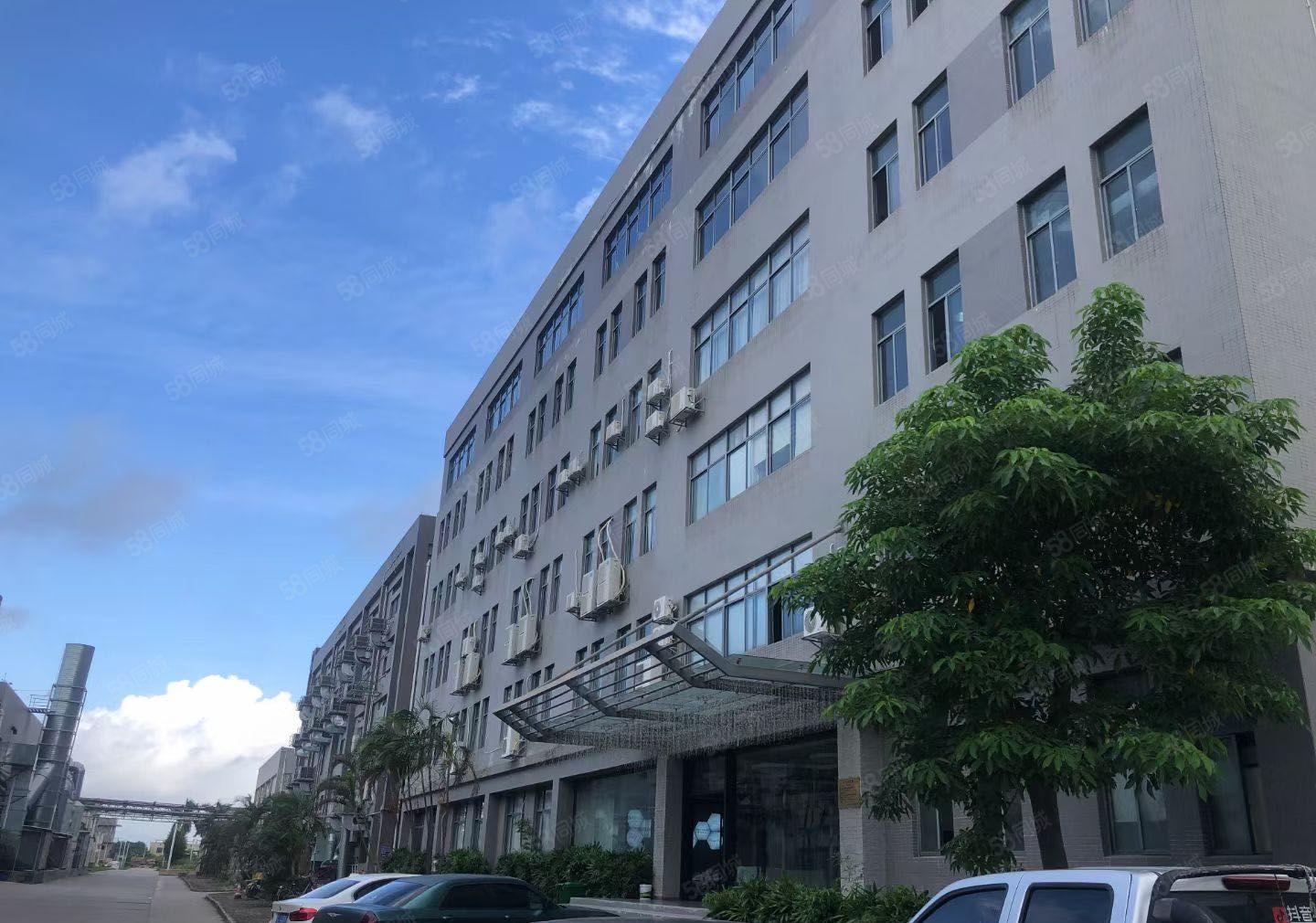 常平独院无柱子代价原房东环保厂房出租