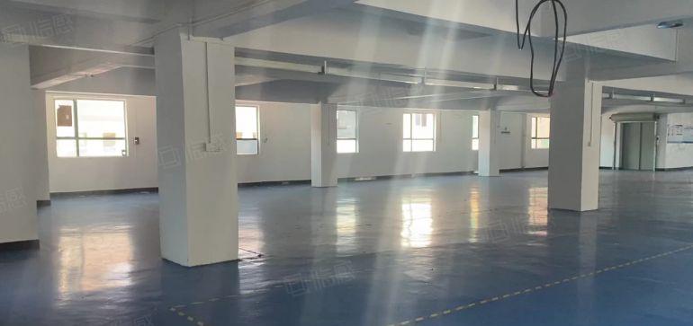 常平楼上新出洁净车间800平带现成办公室低价出租
