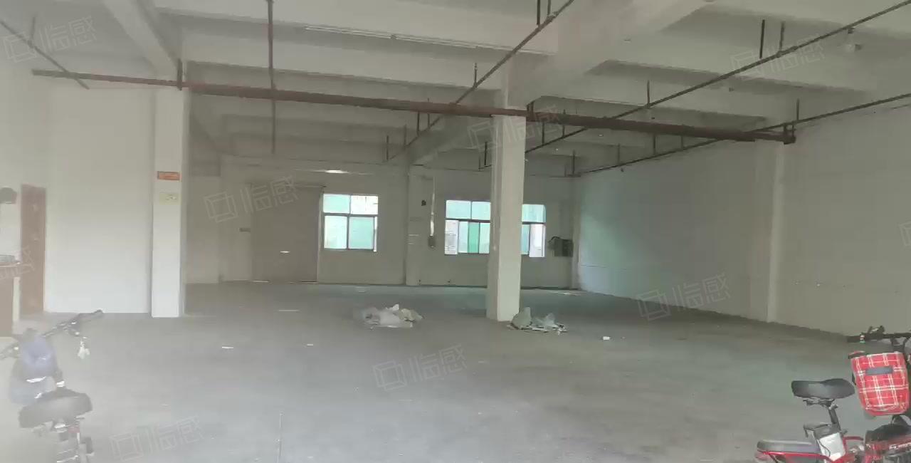 厚街工业园区一楼650平，有消防喷淋，环评秒过，实际面积出租