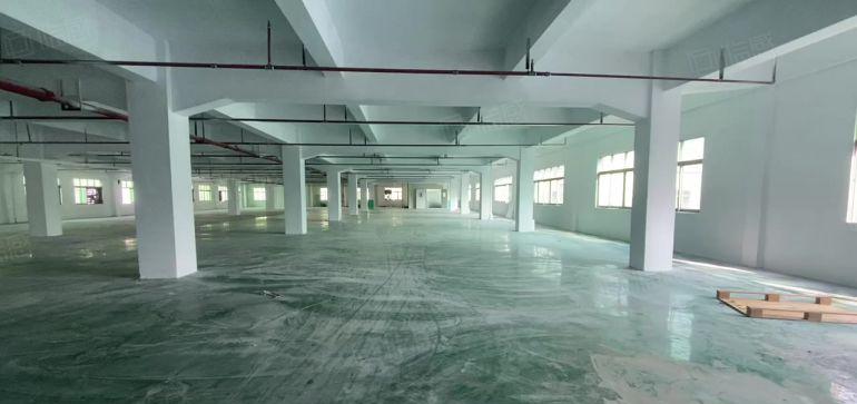 厚街镇西环路2700平大小可分租易招工独门独院交通方便原房东