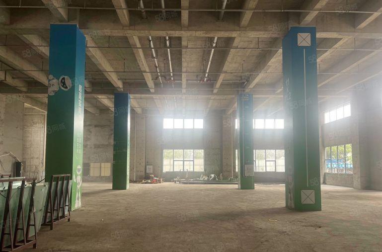 厚街全新厂房随时可看，14起租含税，高楼层楼层可选可办环评