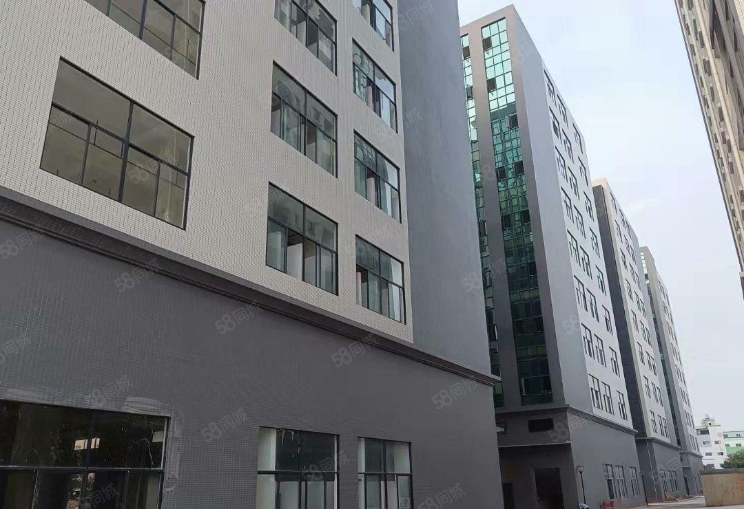 厚街新出全新重工业产业园15000平方一楼高7.5米按栋出租