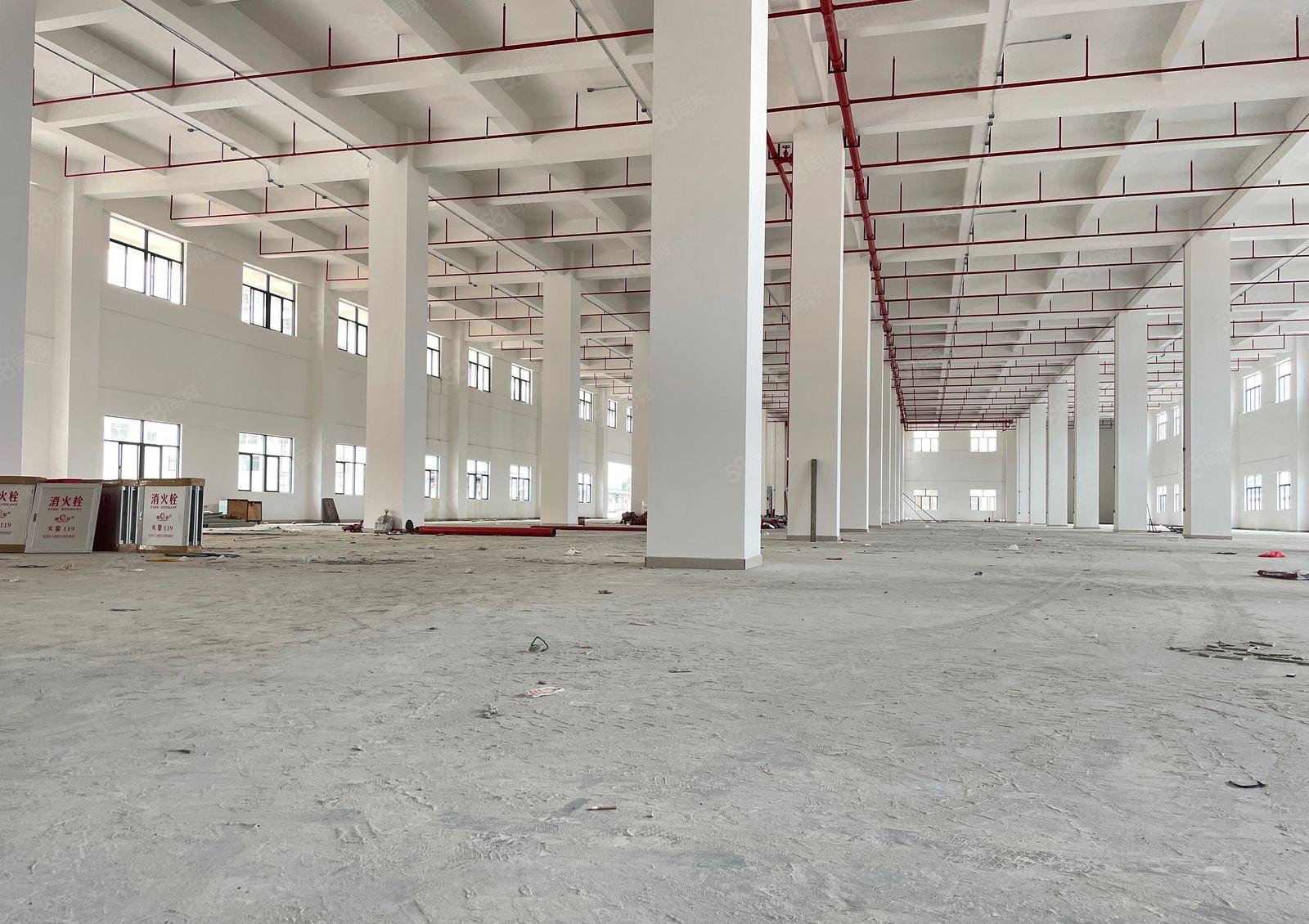 厚街高端产业园全新独院3.8万方厂房出租2000起分全新装修