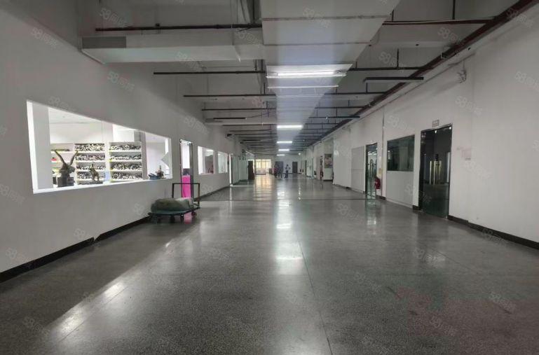 独门独院厂房出租一楼5.5米行业不限制，带有环评空地3000