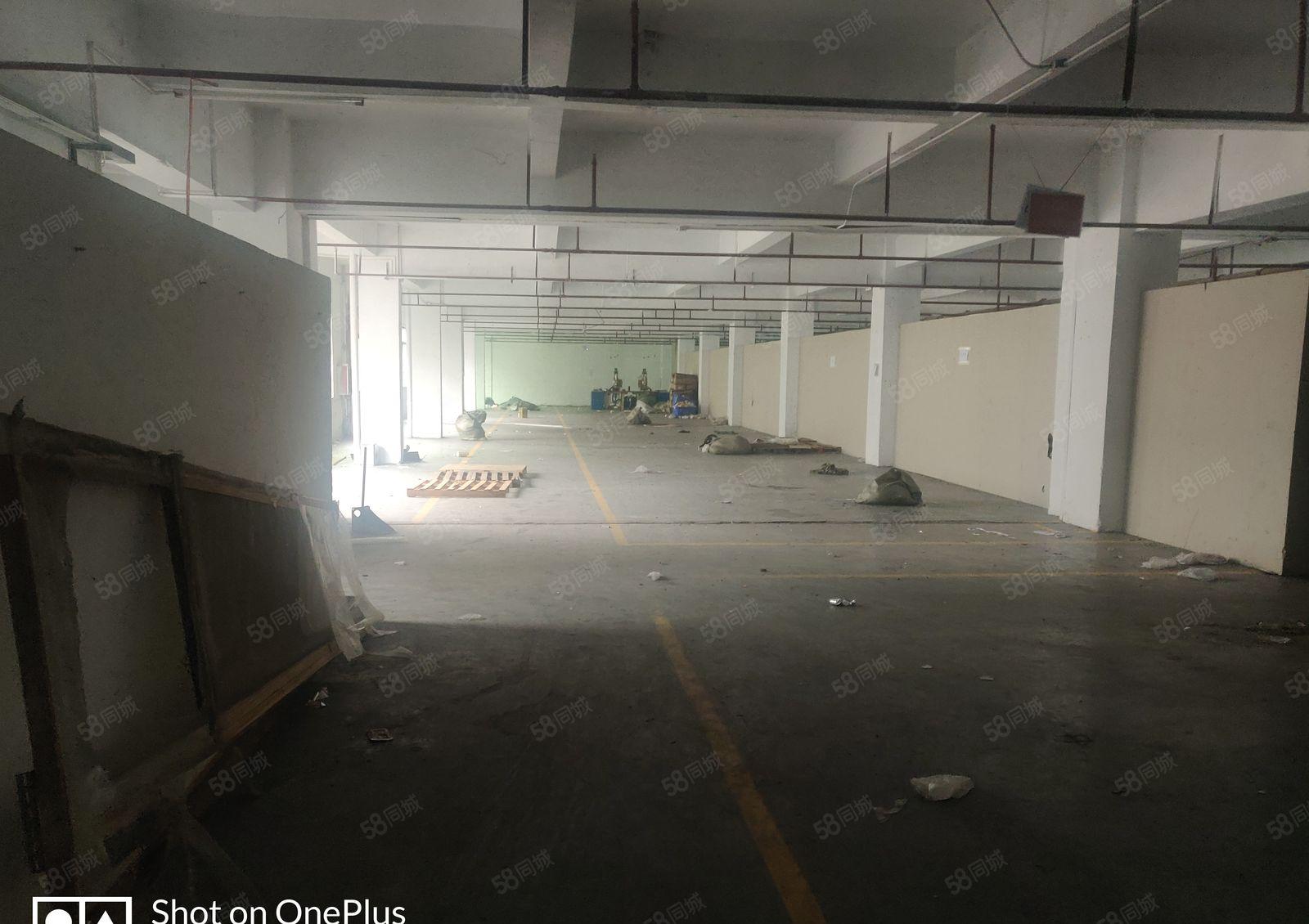 厚街新出楼上厂房，面积大租多少分多少，园区大好进车租金便宜