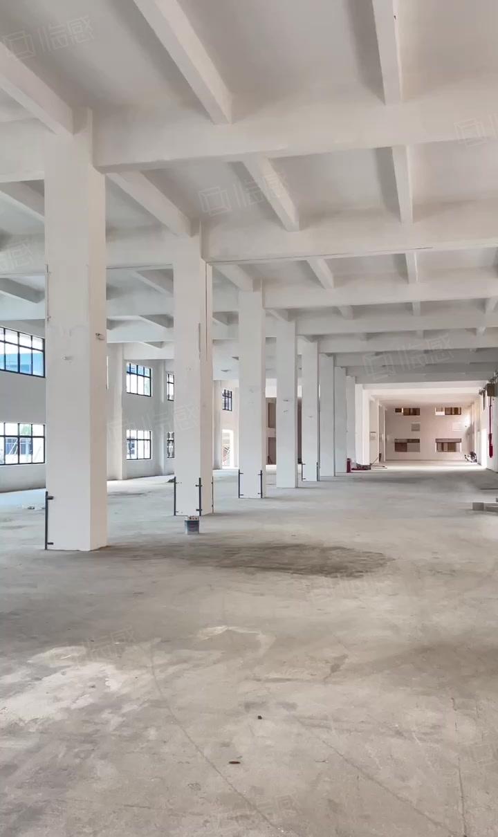 厚街高端产业园全新独院3.8万方厂房出租2000起分全新装修