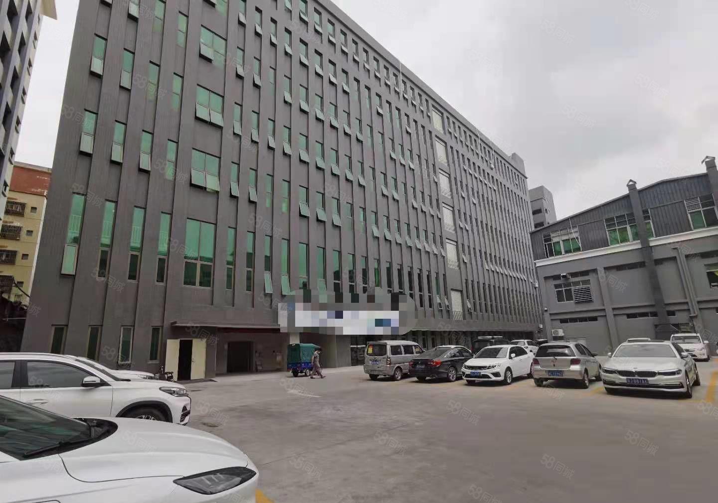 汀山全新厂房一楼2500平厂房出租， 园区厂房，带消防喷淋