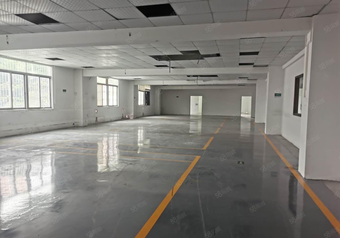 厚街新出原房东1350平方精装修水电齐全