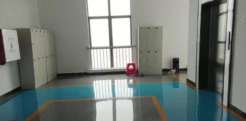 真实全新厂房 全新装修出租！