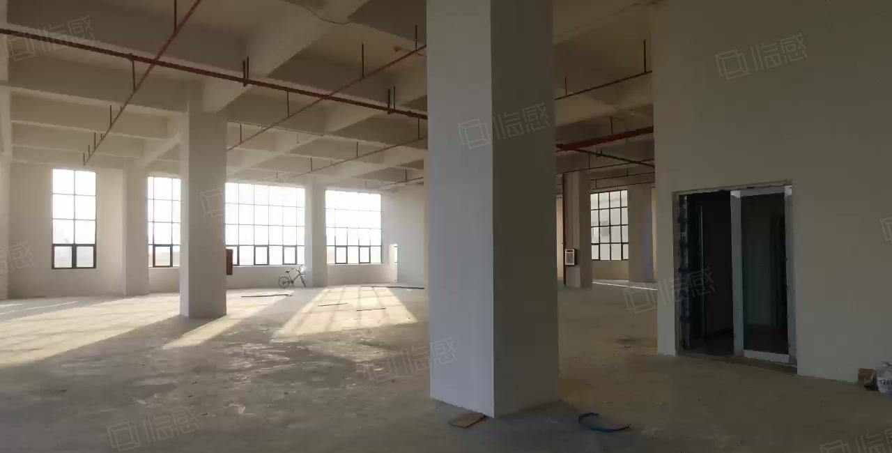 厚街镇，标准全新厂房招租，滴水6米，消防齐全，可办环评。