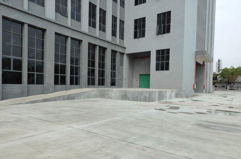 厚街全新标准独院厂房 大小分租 带卸货平台 适合各行业