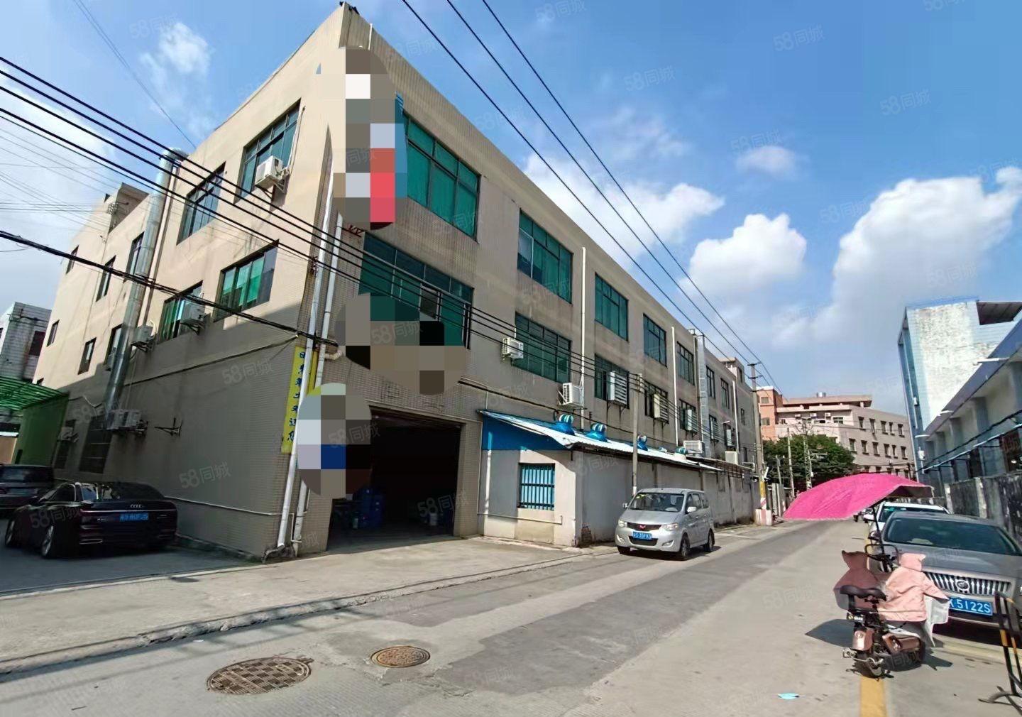 一手房东厂房出租出租仓库800平实际面积，水电办公室现成装修