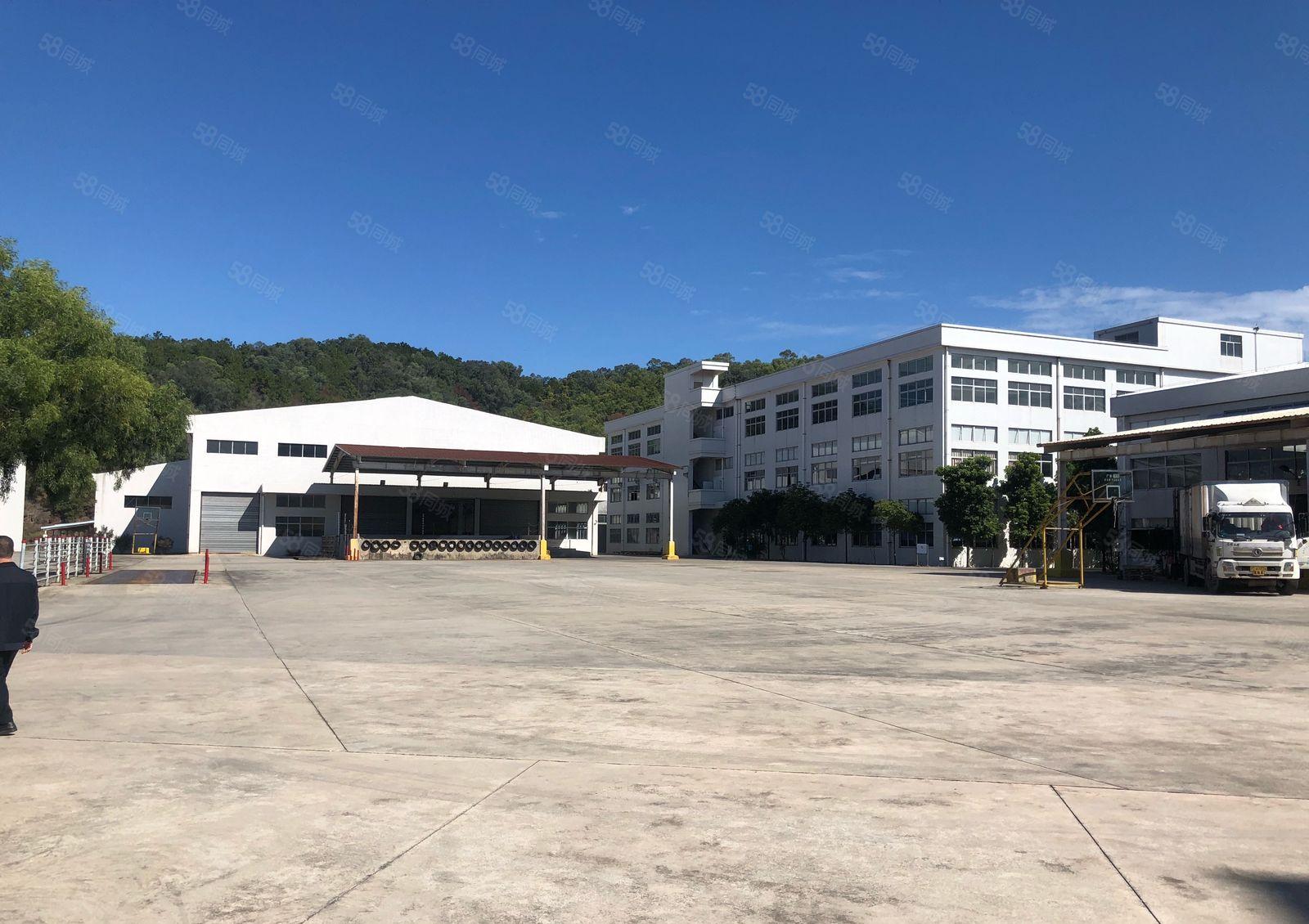 厚街镇红本厂房53000平米招租