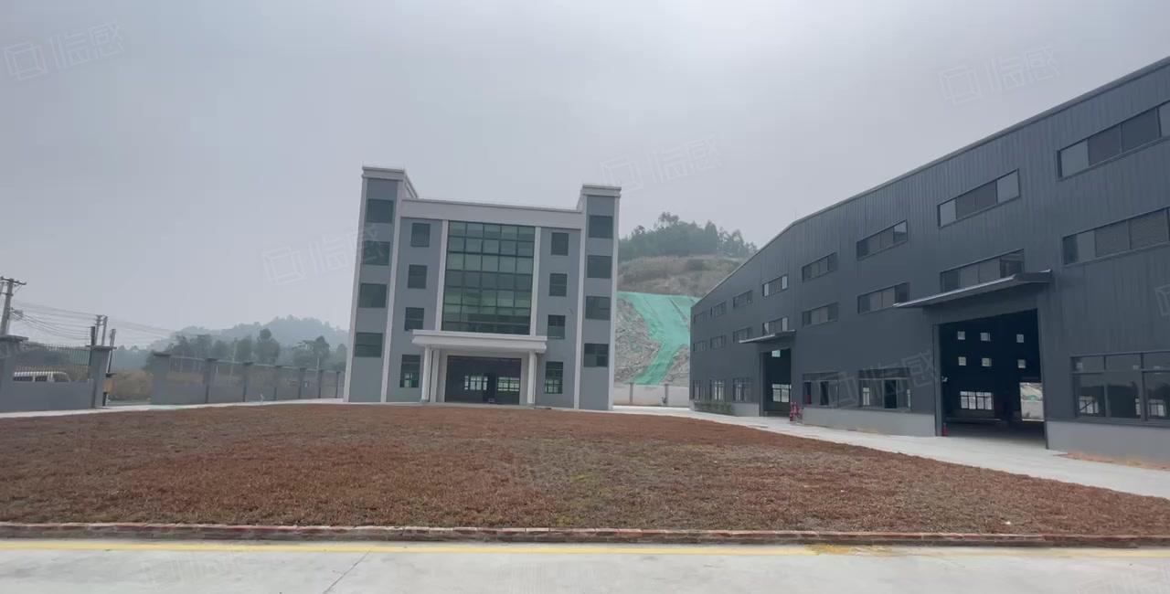 厚街 桥头村全新钢结构单一层滴水12米空地大形象好适合重工业