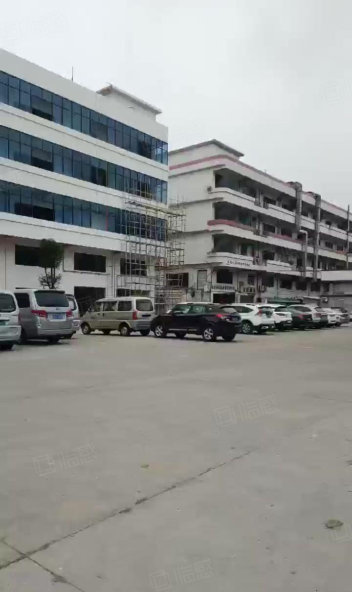 滨海湾片区智能智造高科产业园红本厂房优惠出租一楼带牛角7米高
