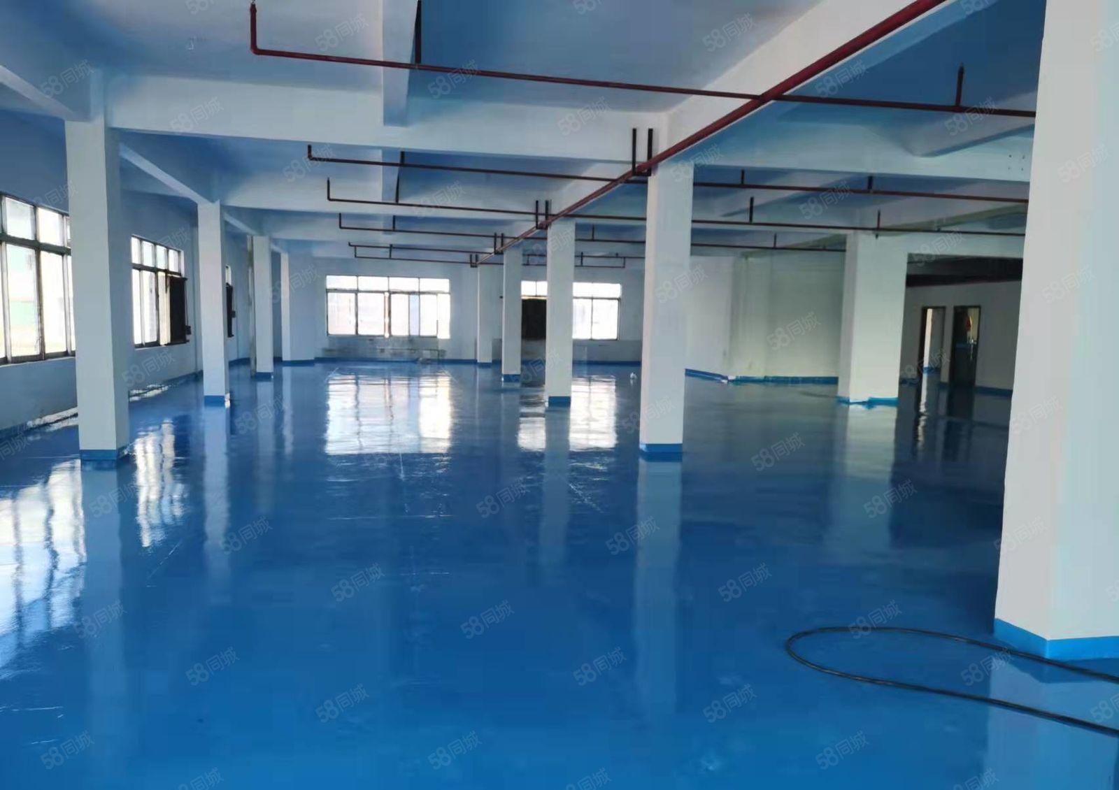 厚街桥头原房东厂房1200平没公摊，2吨货梯，现成地坪漆
