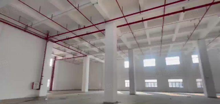 厚街新出原房东全新厂房15000平米，带卸货平台，滴水9米