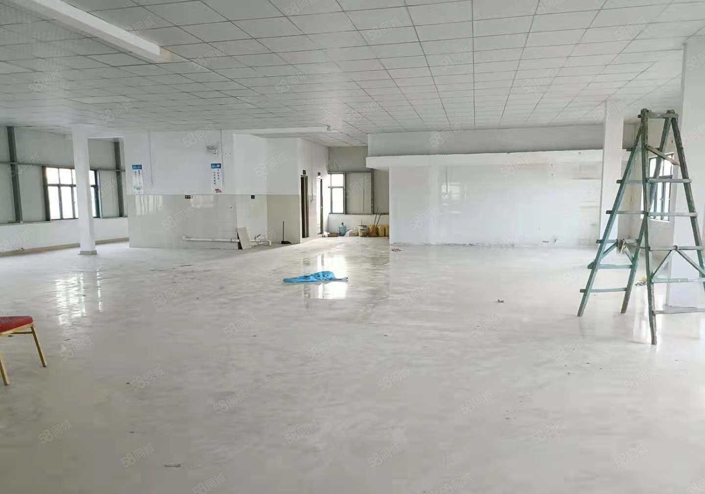塘厦莆心湖新出独栋三层厂房5000平，精装修，高速路近