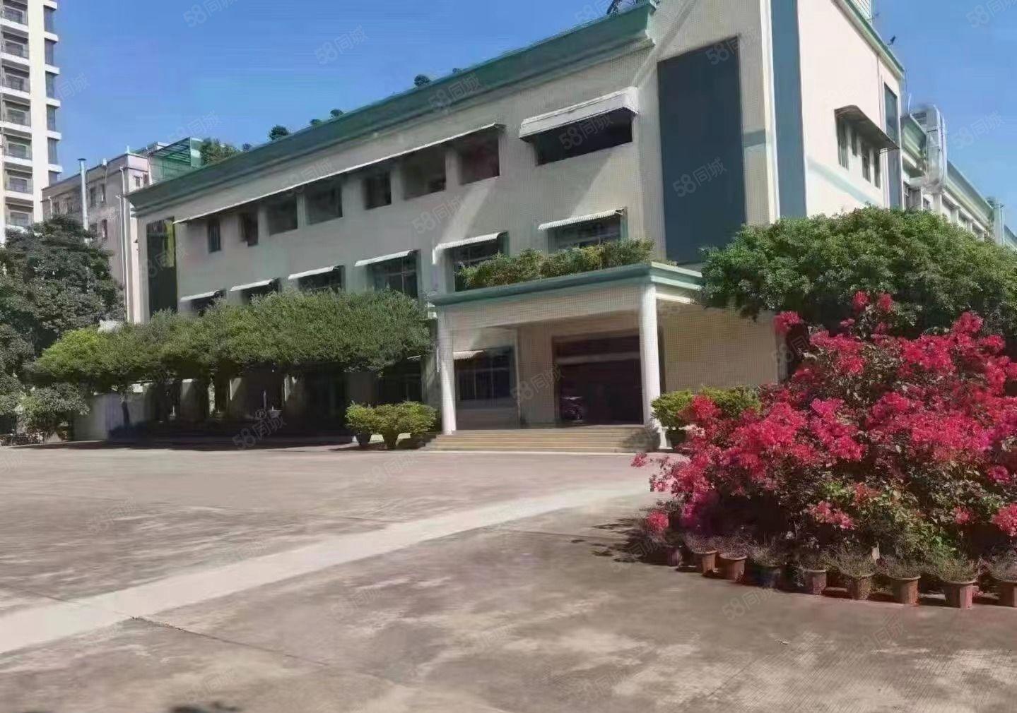 与深圳半小时塘厦高速出口2公里花园独栋厂房 可整租可分租