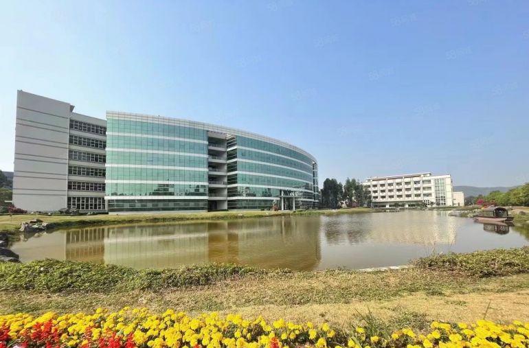 塘厦靠深圳全新豪华装修楼上950平方