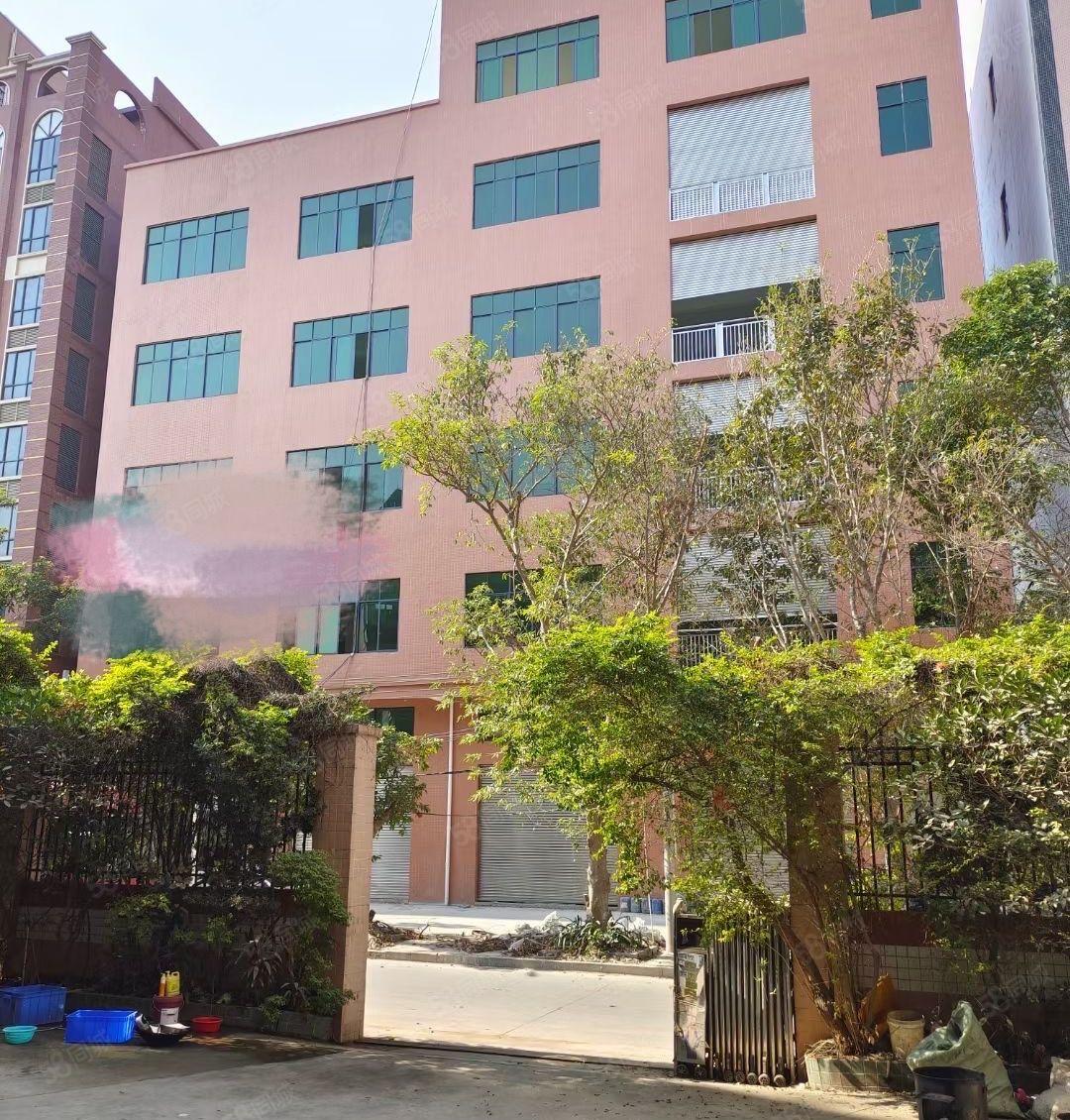 龙背岭原房东全新厂房出租，交通方便，易招工！