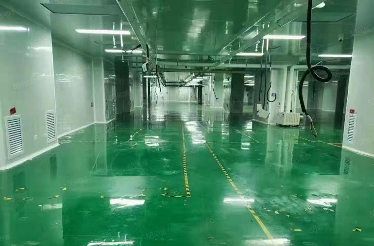 新出楼上整层2000平精装修无尘车间拎包入驻 原房东实际面积