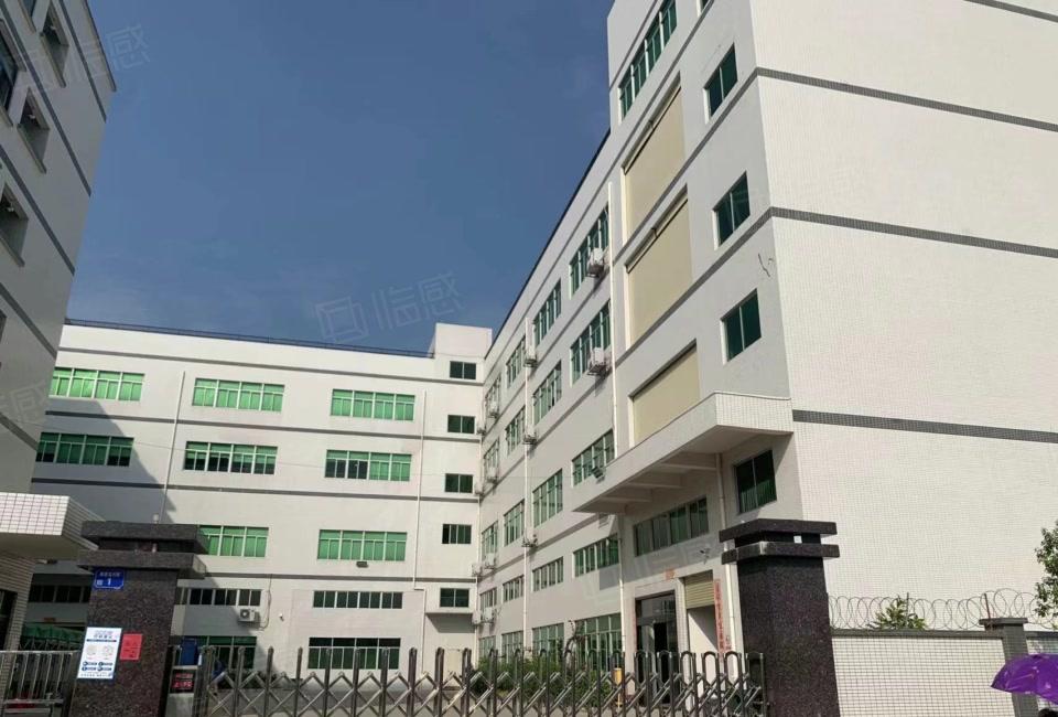 本地房东自建厂房大小出租！一楼6.5米配电大近林村高速配套全