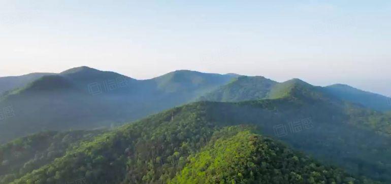 塘厦花园式全新红本厂房35万平方，实际面积出租，享政府补贴。