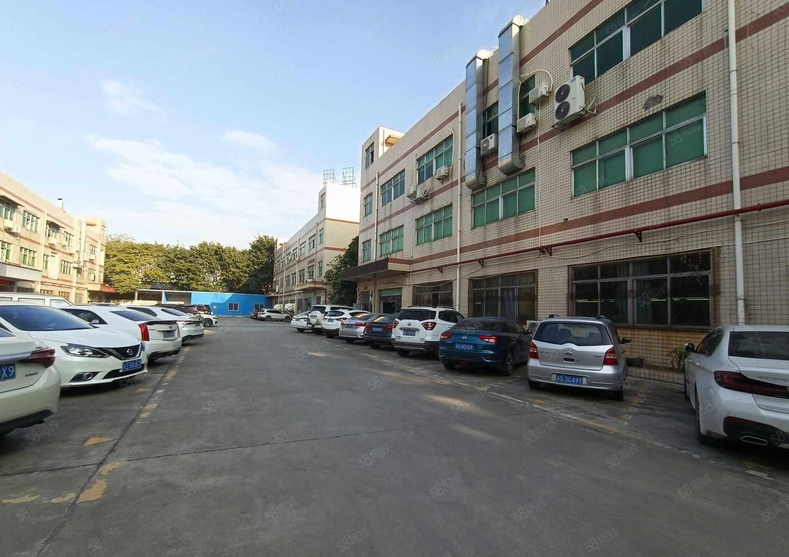 塘厦林村新出楼上1300平带装修，水电齐全，原房东低价甩租！