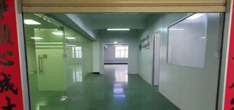 塘厦小面积精装修厂房540平！独院原房东出租电子包装蓝牙仓库