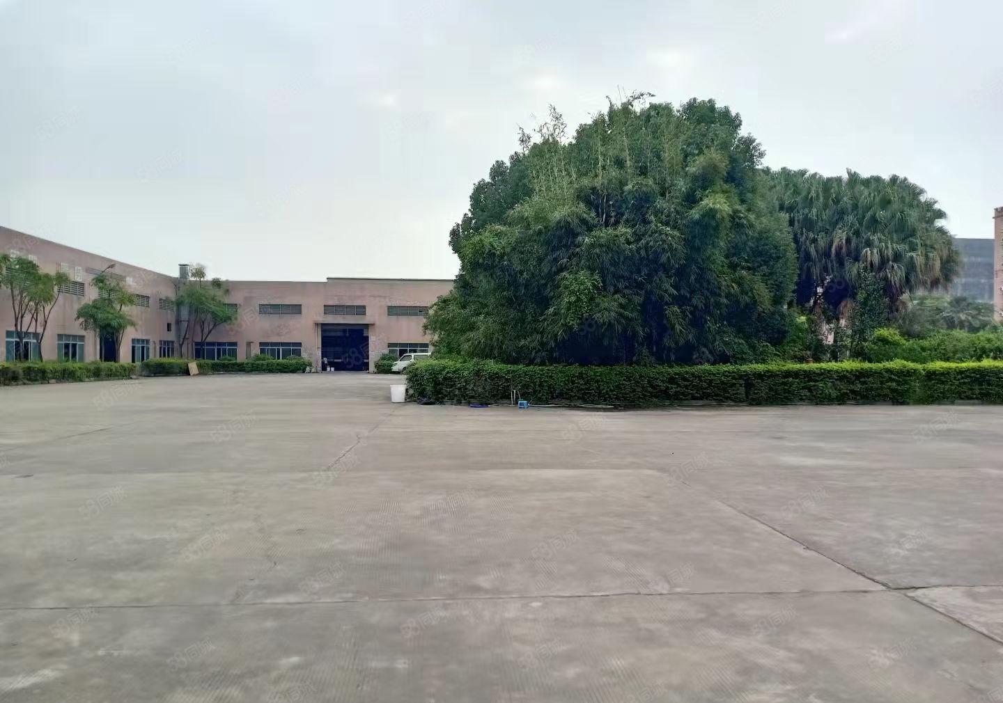 东部快速路周边镇区单一层钢结构独院厂房出租分租或整租