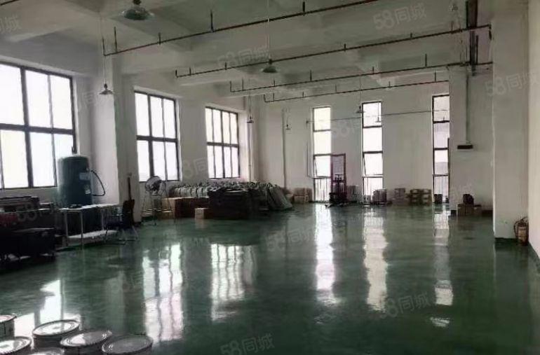 寮步 西溪 自用厂房出租 一楼1000平方,无公摊面积