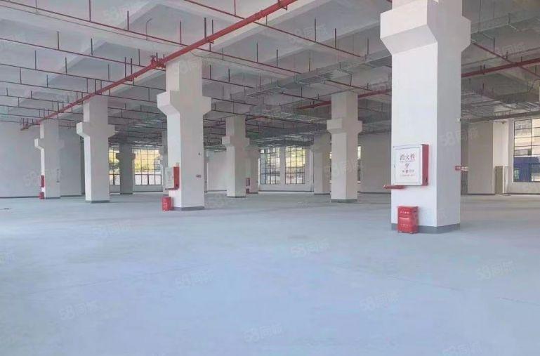 寮步华南工业区独院花园式厂房10000平方，形象好